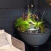 AquaGarden Plant Light - Image 3