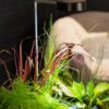 AquaGarden Plant Light - Image 4