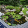 Large Boxed Pond Kit - Image 2